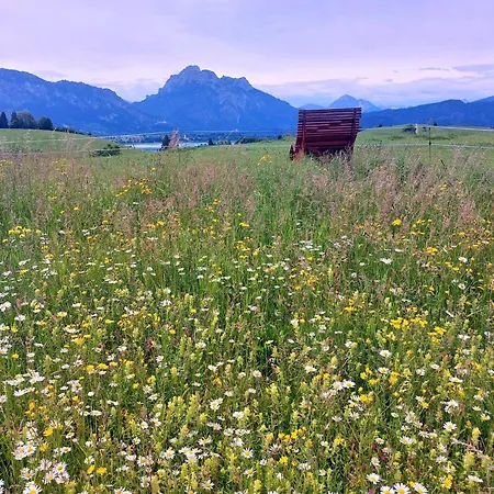 Dahoam Beim Haas * Rieden